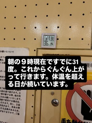 BB42E4D4-145C-41DE-BD0F-AC7DA565E0D8
